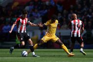 Brentford FC v Brighton & Hove Albion FC - Premier League - Source: Getty